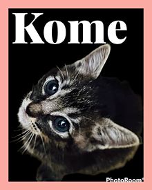 Mugi&Komeの画像(可愛い 待ち受けに関連した画像)