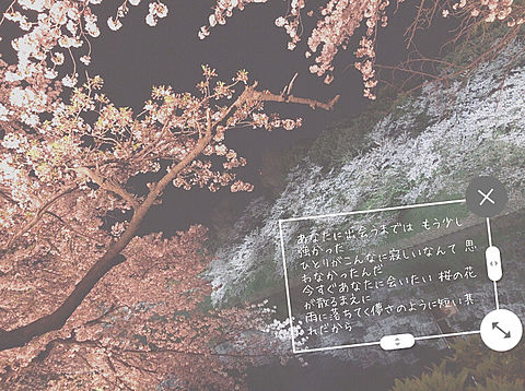 SEKAI NO OWARI 夜桜の画像(プリ画像)