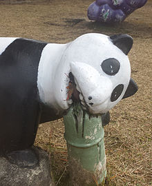 熊猫の画像(おもしろ 動物に関連した画像)