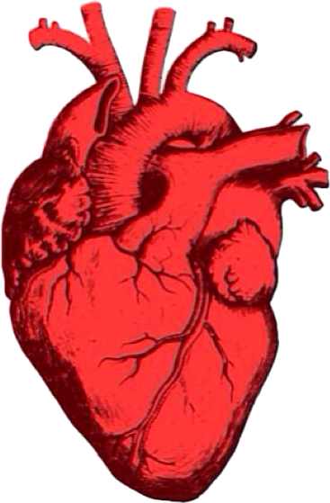 メンヘラ 心臓 素材の画像2点 完全無料画像検索のプリ画像 Bygmo