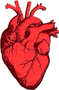 メンヘラ 心臓 素材の画像2点 完全無料画像検索のプリ画像 Bygmo