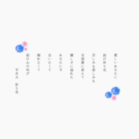 平井大/祈り花 保存で画質ÜPの画像(プリ画像)
