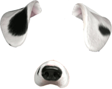 SNOW 犬 背景透過の画像(snow犬に関連した画像)
