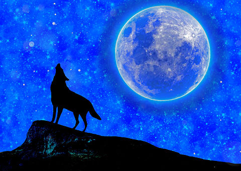 月と狼 完全無料画像検索のプリ画像 Bygmo