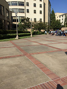 UCLAの画像(uclaに関連した画像)