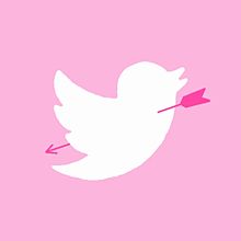 Twitter 鳥 ピンクの画像11点 完全無料画像検索のプリ画像 Bygmo