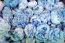 Blue rose プリ画像