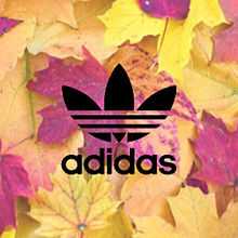 Adidas 秋の画像12点 完全無料画像検索のプリ画像 Bygmo
