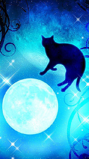 月 綺麗 黒猫の画像10点 完全無料画像検索のプリ画像 Bygmo