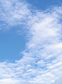 ８月に撮影した空　青空　白雲の画像(撮影に関連した画像)