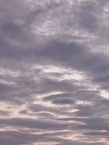 ８月に撮影した空　曇り空　夕焼けの画像(夕焼けに関連した画像)