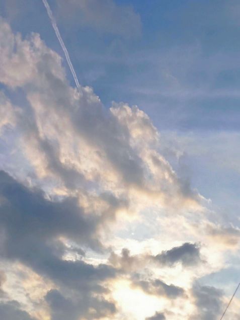 太陽　夕陽　飛行機雲の画像 プリ画像