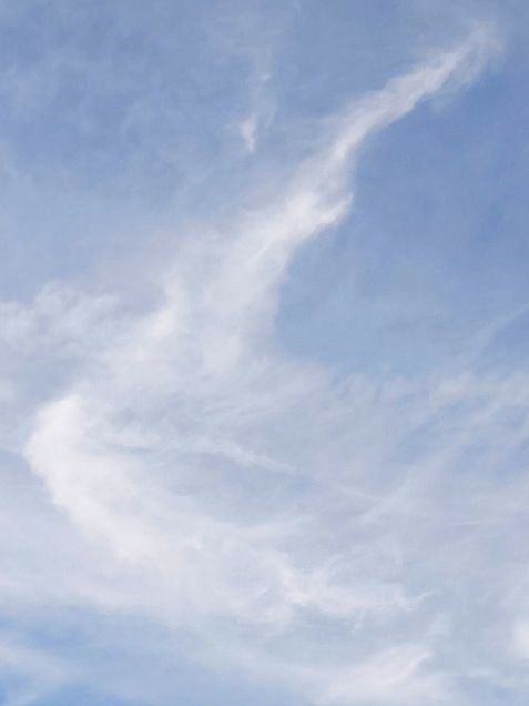 龍雲&飛行機雲の画像 プリ画像