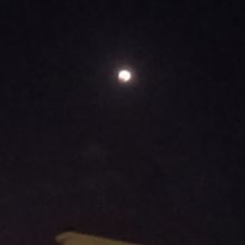 11月８日　皆既月食　（天王星食）の画像(天体に関連した画像)