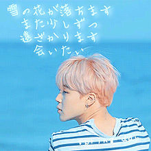 BTS ジミン springday 歌詞画の画像(ピンク髪に関連した画像)