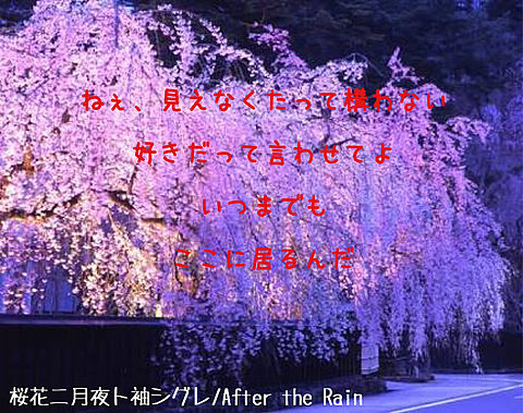 桜花二月夜ト袖シグレ 歌詞画の画像(プリ画像)