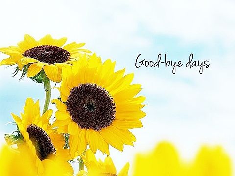 Good-bye daysの画像 プリ画像
