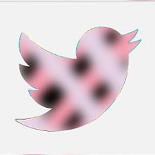 Twitterアイコン 鳥 プリ画像