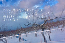 歌詞画像 雪に願いをの画像(ジャニーズWEST歌詞画に関連した画像)