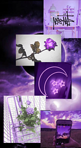 紫待受画面の画像(待受画面に関連した画像)