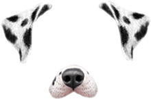 Snapchat 犬 背景透過の画像12点 完全無料画像検索のプリ画像 Bygmo