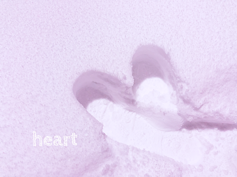 heartの画像(プリ画像)