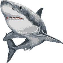 かわいい サメの画像173点 完全無料画像検索のプリ画像 Bygmo