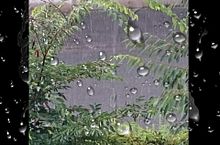 雨の画像(さみしいに関連した画像)