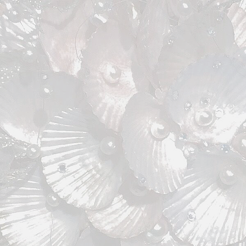 貝殻 真珠💍の画像 プリ画像