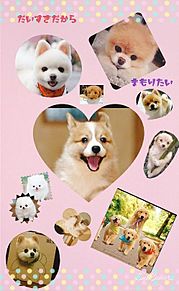 スマホ 壁紙 犬の画像14点 完全無料画像検索のプリ画像 Bygmo