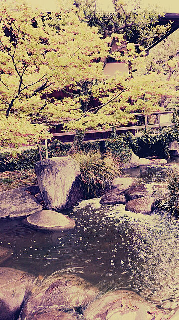 日本庭園の画像(プリ画像)