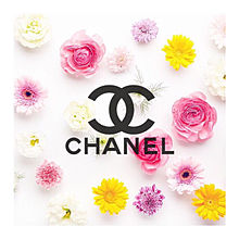Chanel 背景の画像209点 2ページ目 完全無料画像検索のプリ画像 Bygmo