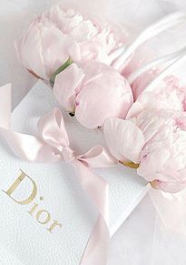 diorの画像(Diorに関連した画像)