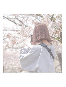 おしゃれ さくら 壁紙 桜の画像点 完全無料画像検索のプリ画像 Bygmo