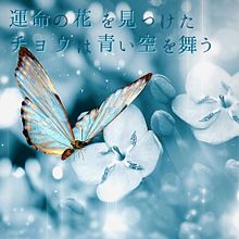 Butterflyの画像(木村カエラ butterflyに関連した画像)
