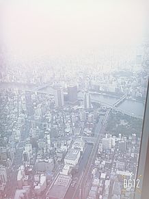 東京スカイツリーの画像(東京スカイツリーに関連した画像)