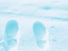 雪 足跡の画像56点 完全無料画像検索のプリ画像 Bygmo