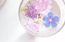 イラスト 美しい 花の画像29点 完全無料画像検索のプリ画像 Bygmo