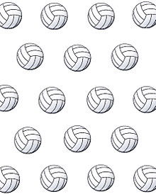 volleyballの画像(アタックNo.1に関連した画像)