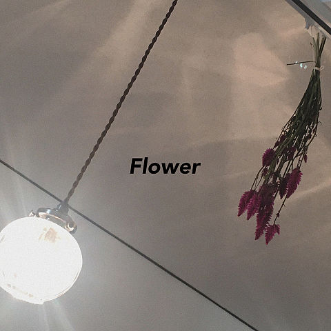 Flower  花の画像(プリ画像)