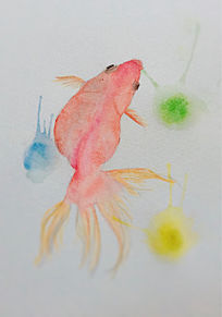 動物画像のすべて 最新のhd水彩 おしゃれ 金魚 イラスト