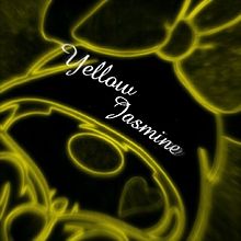 Yellow Jasmineの画像(jasmineに関連した画像)