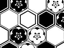 素材 蜂の巣の画像1点 完全無料画像検索のプリ画像 Bygmo