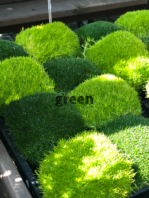 greenの画像(プリ画像)