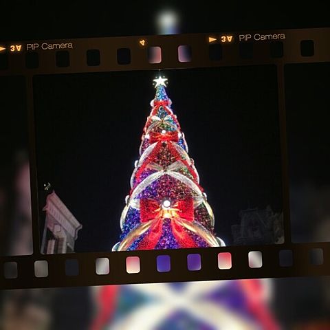 ユニバ　クリスマスツリーの画像(プリ画像)