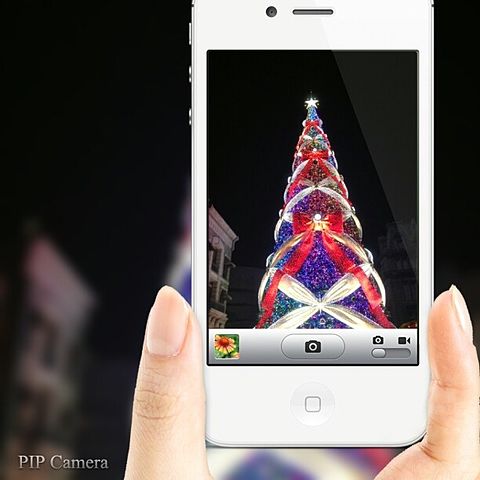 ユニバ　クリスマスツリーの画像(プリ画像)