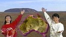 オーストラリアのどうぶつファミリー 1994年2月・3月のうたの画像(オーストラリアに関連した画像)
