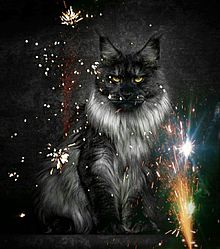 黒猫 かっこいいの画像23点 完全無料画像検索のプリ画像 Bygmo