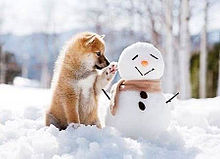 冬 可愛い 犬 雪だるまの画像5点 完全無料画像検索のプリ画像 Bygmo