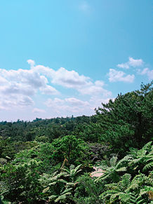 沖縄 旅👌の画像(沖縄 背景に関連した画像)